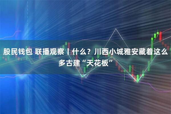 股民钱包 联播观察丨什么？川西小城雅安藏着这么多古建“天花板”