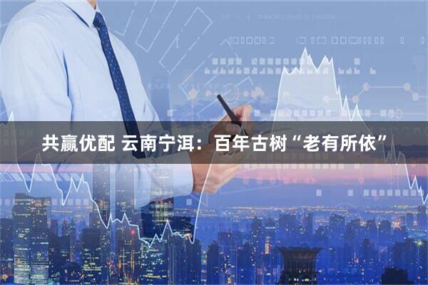 共赢优配 云南宁洱：百年古树“老有所依”