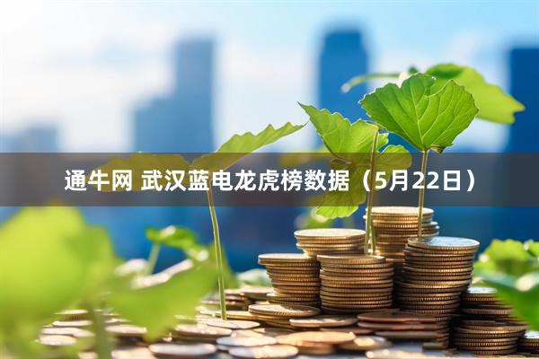 通牛网 武汉蓝电龙虎榜数据（5月22日）