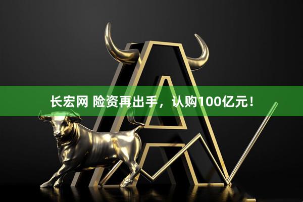长宏网 险资再出手，认购100亿元！