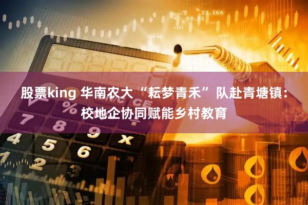 股票king 华南农大 “耘梦青禾” 队赴青塘镇：校地企协同赋能乡村教育