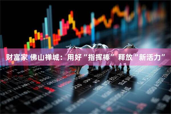 财富家 佛山禅城：用好“指挥棒” 释放“新活力”