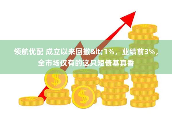 领航优配 成立以来回撤<1%，业绩前3%，全市场仅有的这只短债基真香