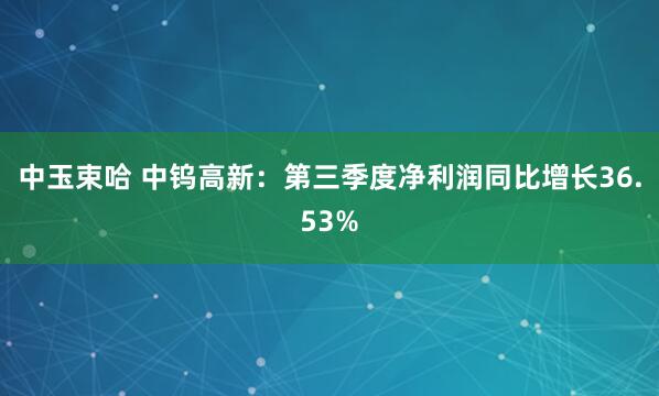 中玉束哈 中钨高新：第三季度净利润同比增长36.53%