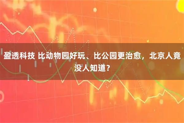 盈透科技 比动物园好玩、比公园更治愈，北京人竟没人知道？