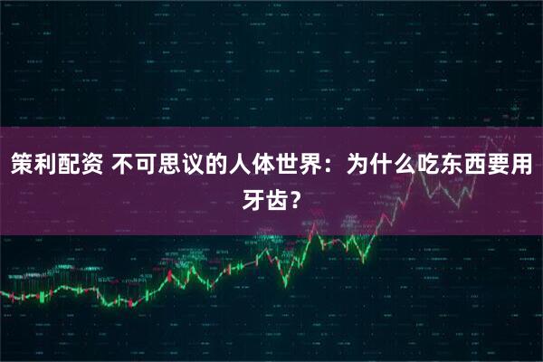 策利配资 不可思议的人体世界：为什么吃东西要用牙齿？