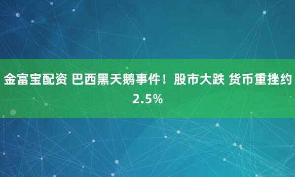 金富宝配资 巴西黑天鹅事件！股市大跌 货币重挫约2.5%
