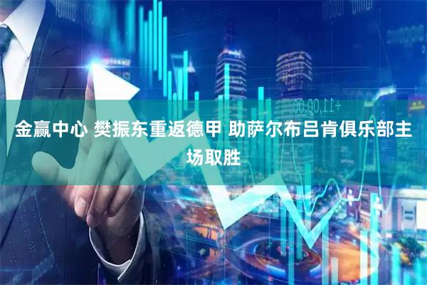 金赢中心 樊振东重返德甲 助萨尔布吕肯俱乐部主场取胜