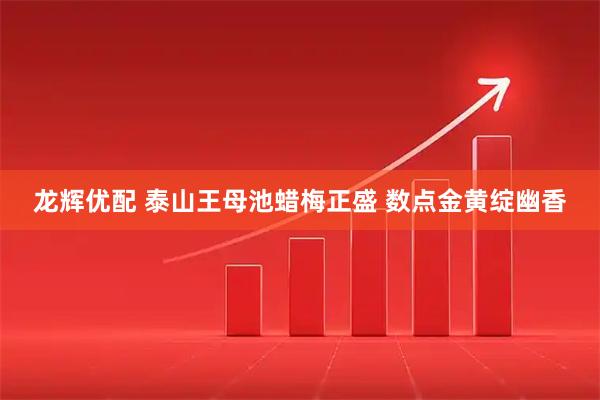 龙辉优配 泰山王母池蜡梅正盛 数点金黄绽幽香