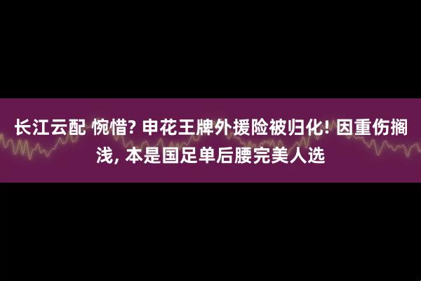 长江云配 惋惜? 申花王牌外援险被归化! 因重伤搁浅, 本是国足单后腰完美人选