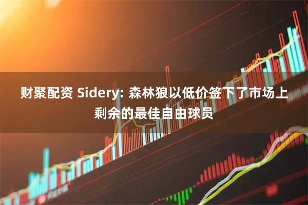 财聚配资 Sidery: 森林狼以低价签下了市场上剩余的最佳自由球员